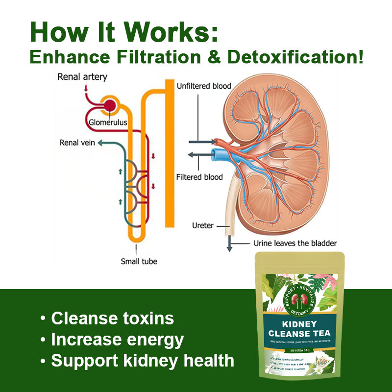 Kidney Cleanse Tea | 100% Natural Herbal Support Kidney Stone | 15 Tea Bags